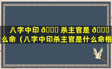 八字中印 🐞 杀主官是 🐎 什么命（八字中印杀主官是什么命格）